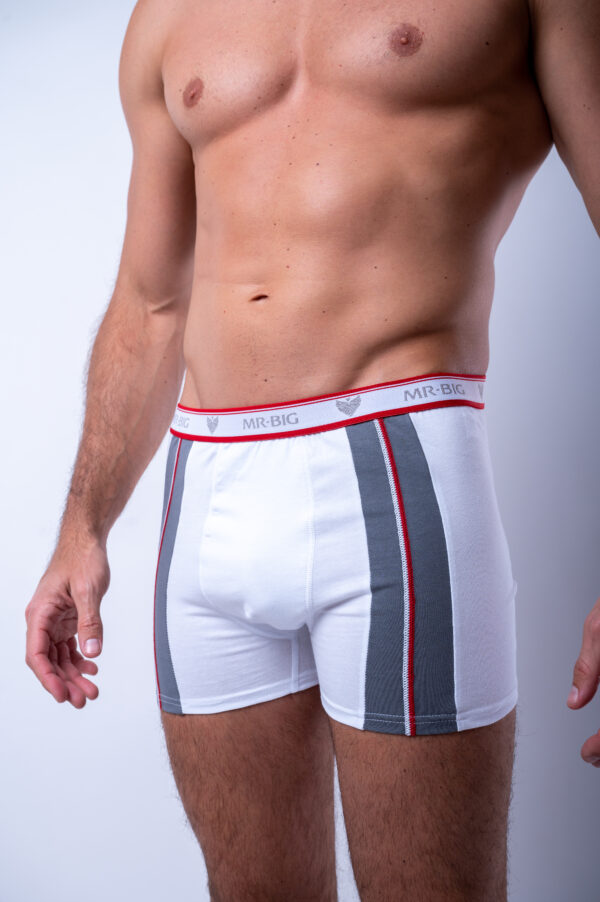 Férfi trend színes boxer pamutból – 7. kép