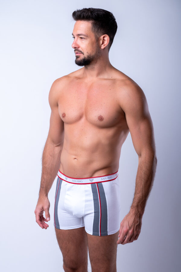 Férfi trend színes boxer pamutból – 9. kép