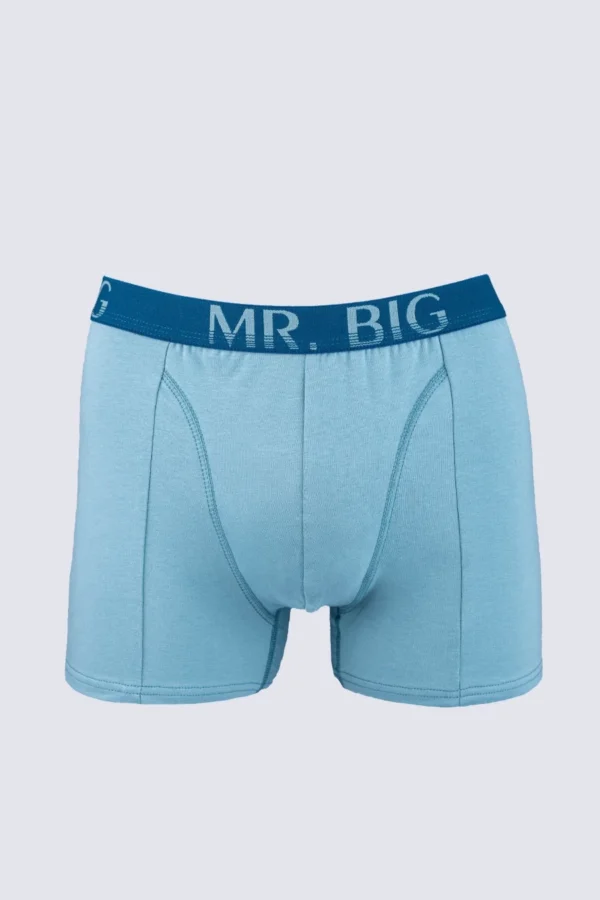 Férfi boxer – arctic Férfi boxer rávarrt gumis classic fazon – 17. kép