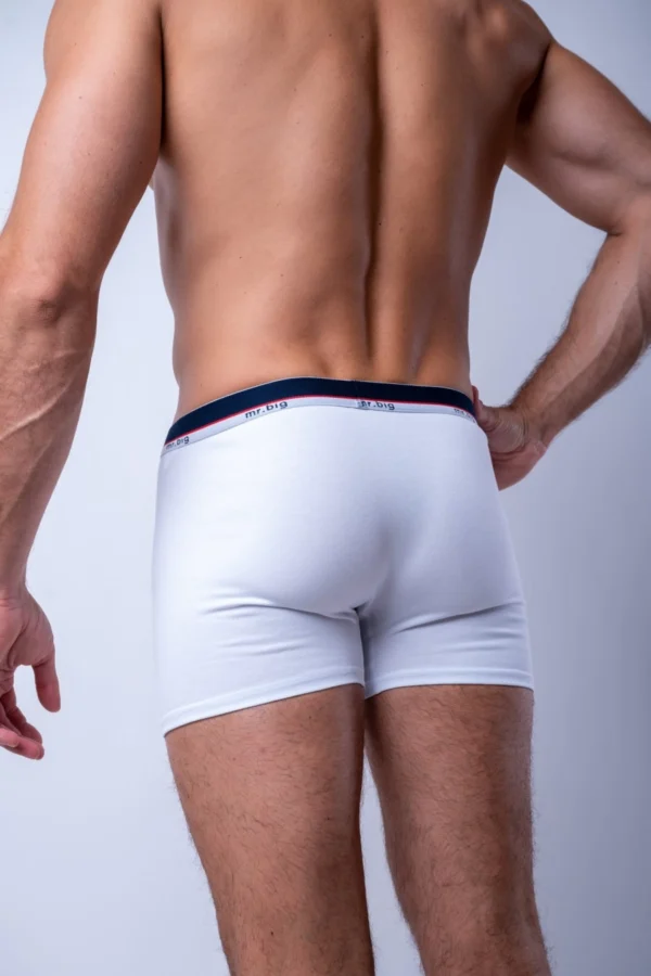 Férfi boxer pamutból – 6. kép