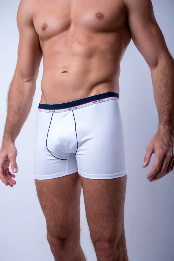 Férfi boxer pamutból – 11. kép