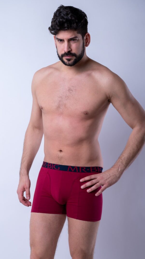 Férfi boxer – bordó Férfi boxer rávarrt gumis classic fazon – 32. kép