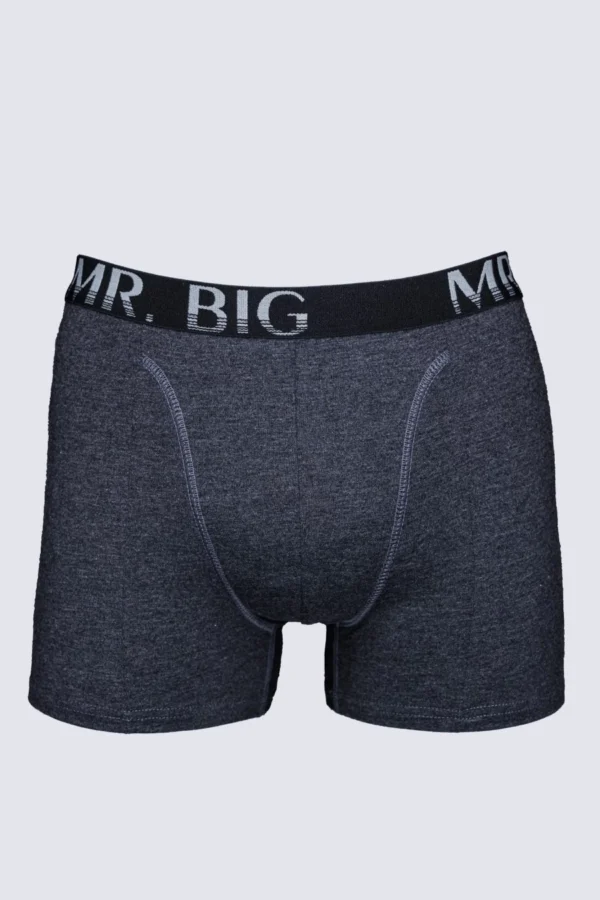 Férfi boxer – sötétszürke Férfi boxer rávarrt gumis classic fazon – 25. kép