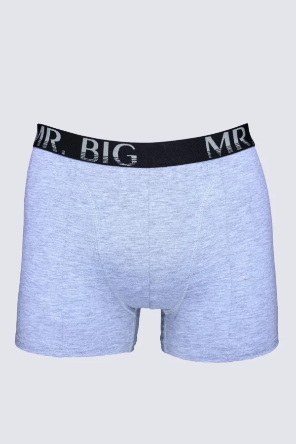 Férfi boxer – szürke Férfi boxer rávarrt gumis classic fazon – 22. kép