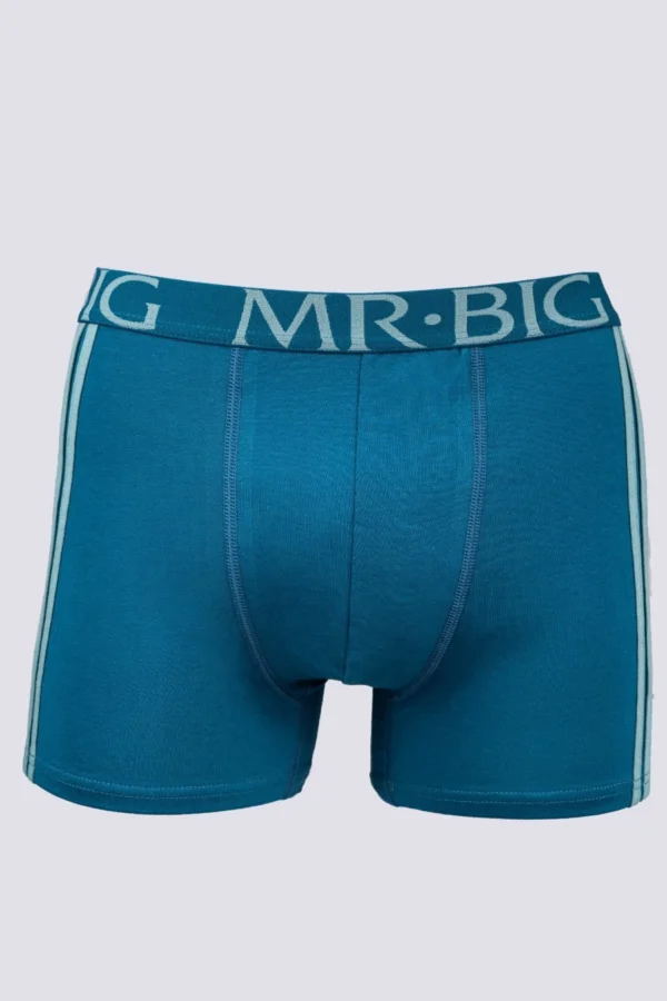 Férfi boxer sport – gumis – pamutból – 13. kép