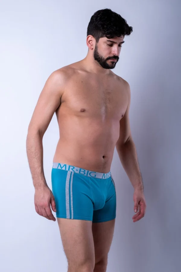 Férfi boxer sport – gumis – pamutból – 19. kép