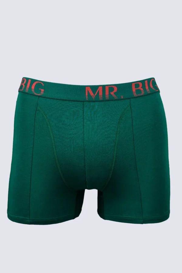 Férfi boxer – zöld Férfi boxer rávarrt gumis classic fazon – 19. kép