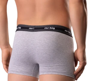 Férfi boxer – Mr. Big modell