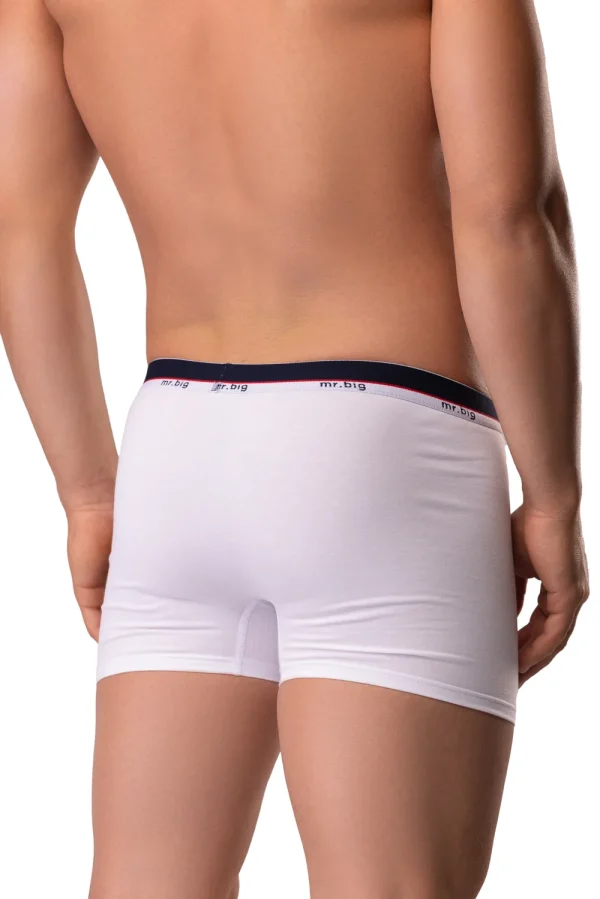 Férfi boxer pamutból – 2. kép