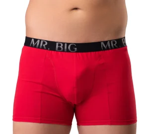 Férfi boxer rávarrt gumis classic fazon