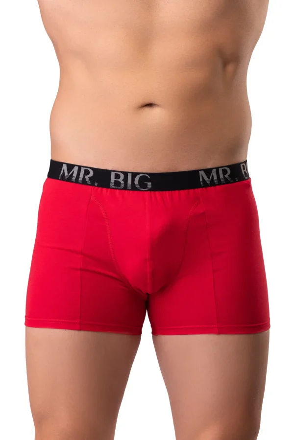 Férfi boxer – piros Férfi boxer rávarrt gumis classic fazon – 11. kép