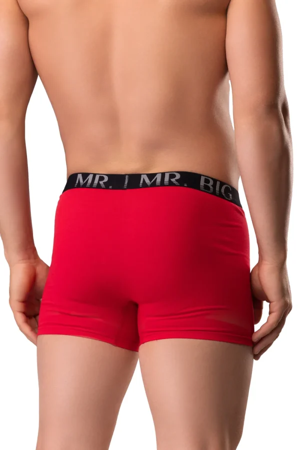 Férfi boxer – piros Férfi boxer rávarrt gumis classic fazon – 12. kép