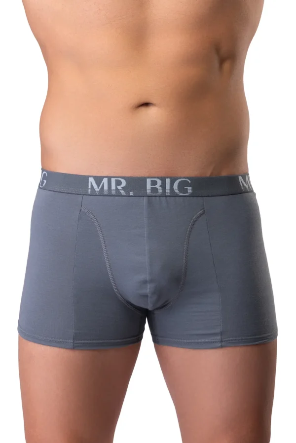 Férfi boxer – szürke Férfi boxer rávarrt gumis classic fazon – 13. kép