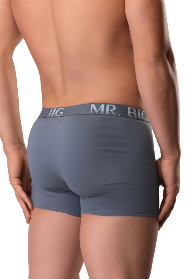 Férfi boxer – szürke Férfi boxer rávarrt gumis classic fazon – 14. kép